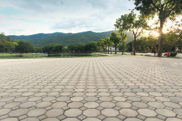 Best Concrete Paver Driveway  in Plymouth, MN